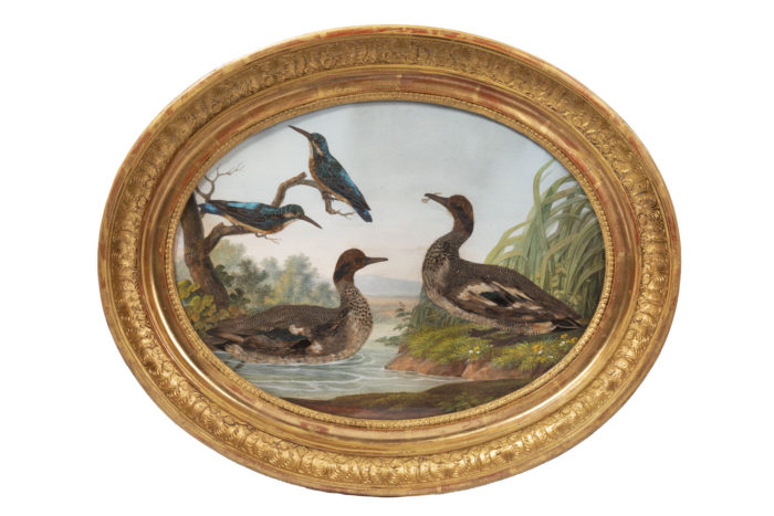 gouache oiseaux canard martin-pêcheurs