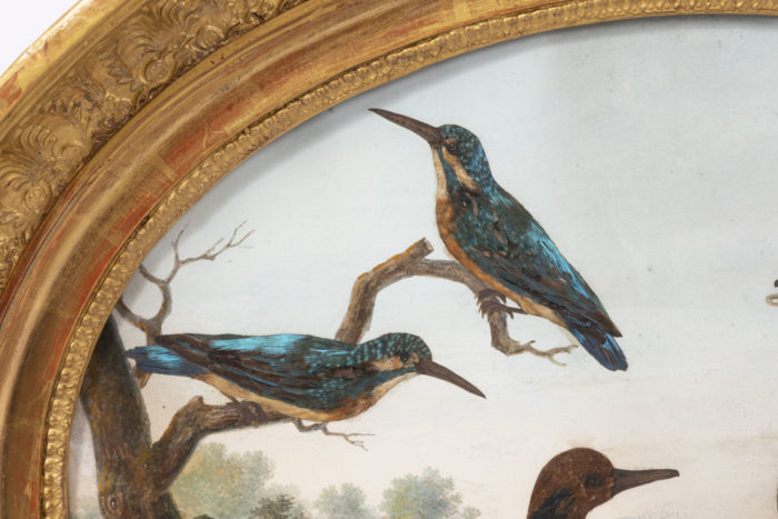 gouache birds kingfishers detail