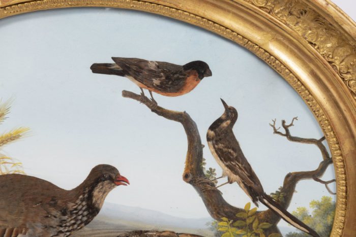 gouache birds partridge and robin