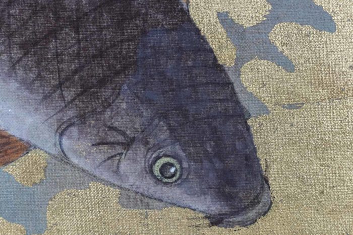 carps canvas zoom fish head