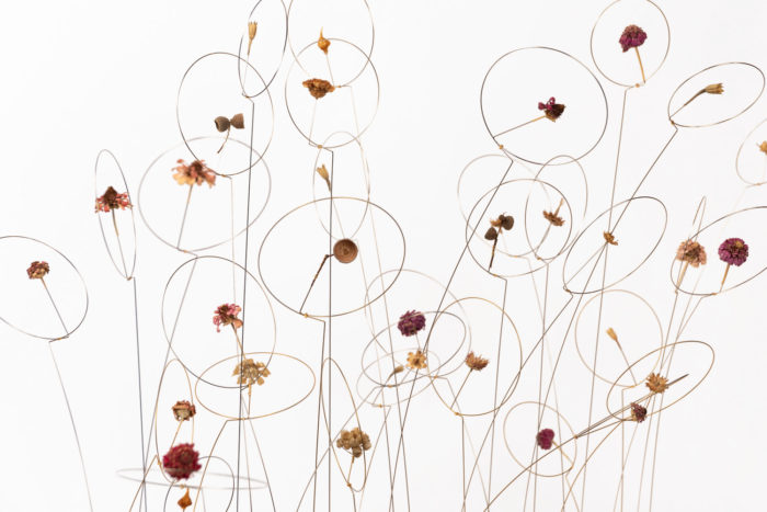 christel sadde stabile fall dry flowers