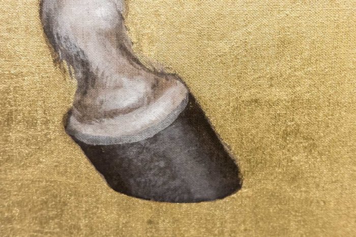 canvas horse shoes