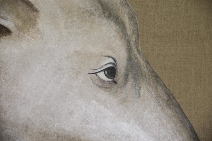 canvas greyhound eyes