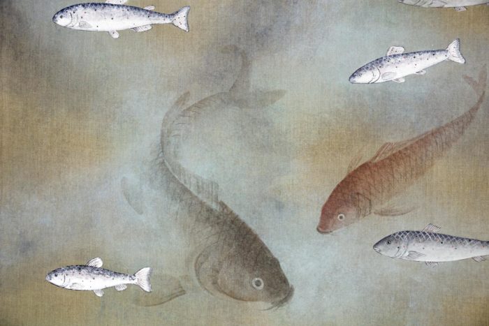 canvas fishes carp swimming