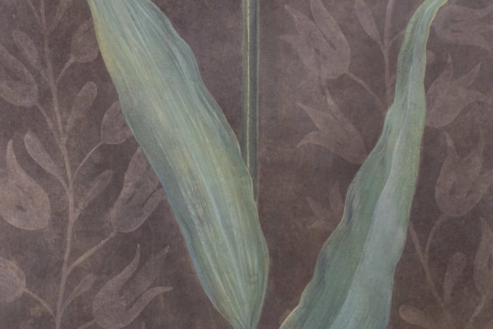 canvas tulip leaves