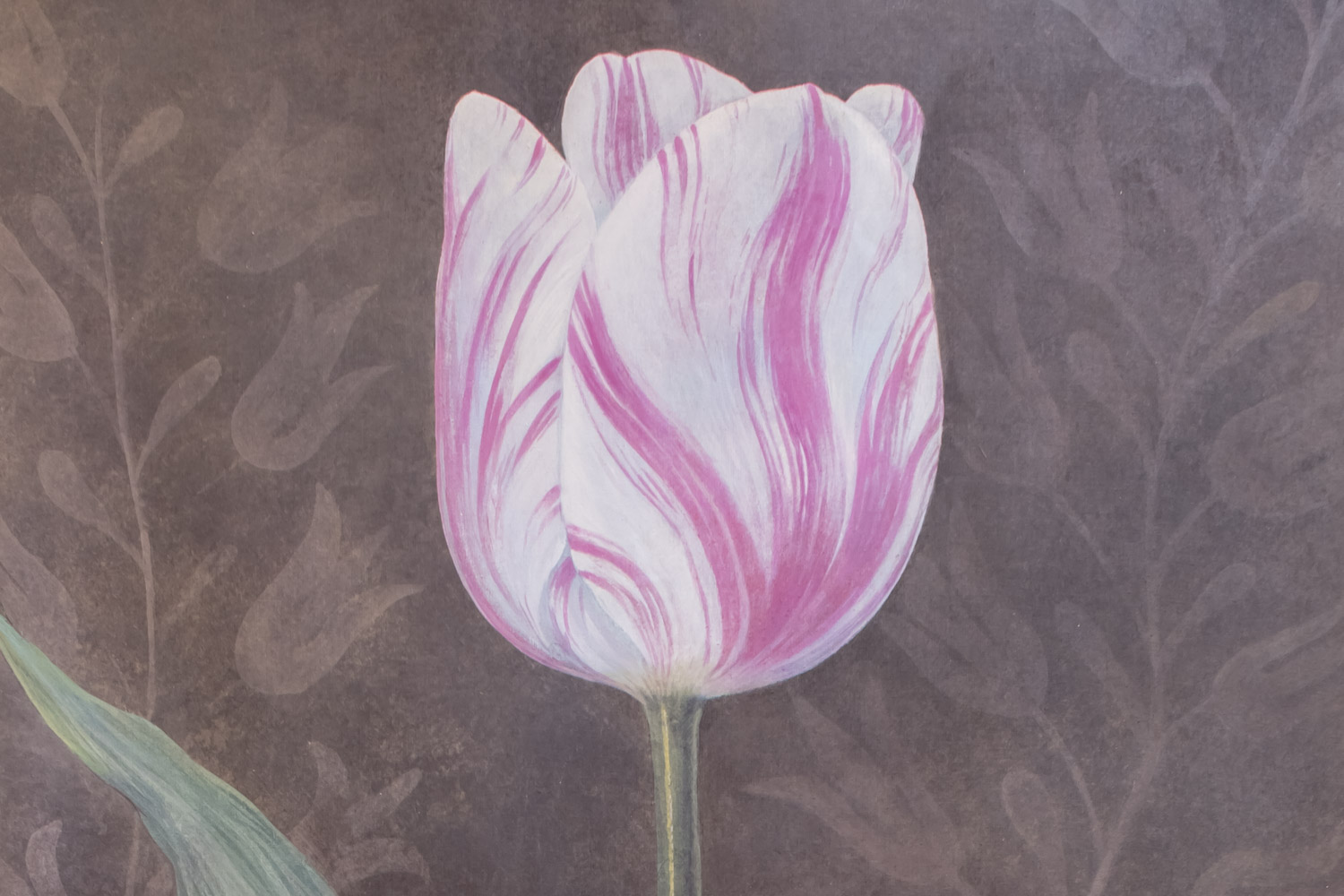 Toile peinte figurant une tulipe rose, travail contemporain - JLF Antiquités