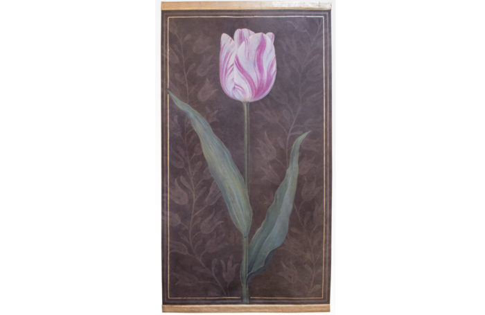 canvas tulip pink brown background