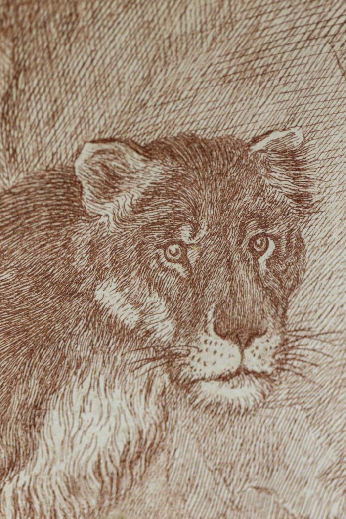 Pair of engravings 3
