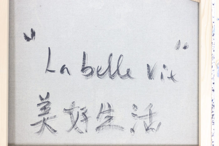 DanHôo La belle vie - title