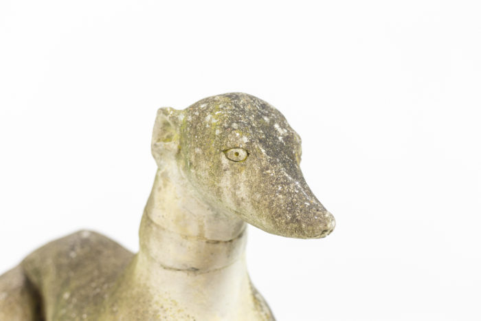 Reconstructed stone dog - focus head