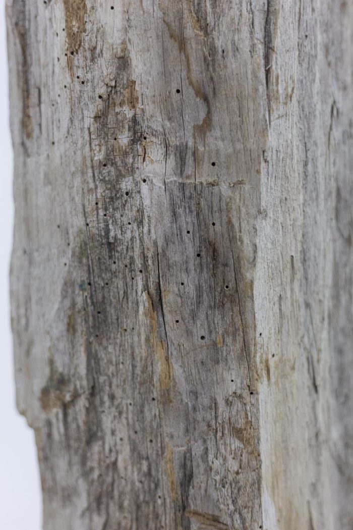Sculpture abstract character  - zoom wood