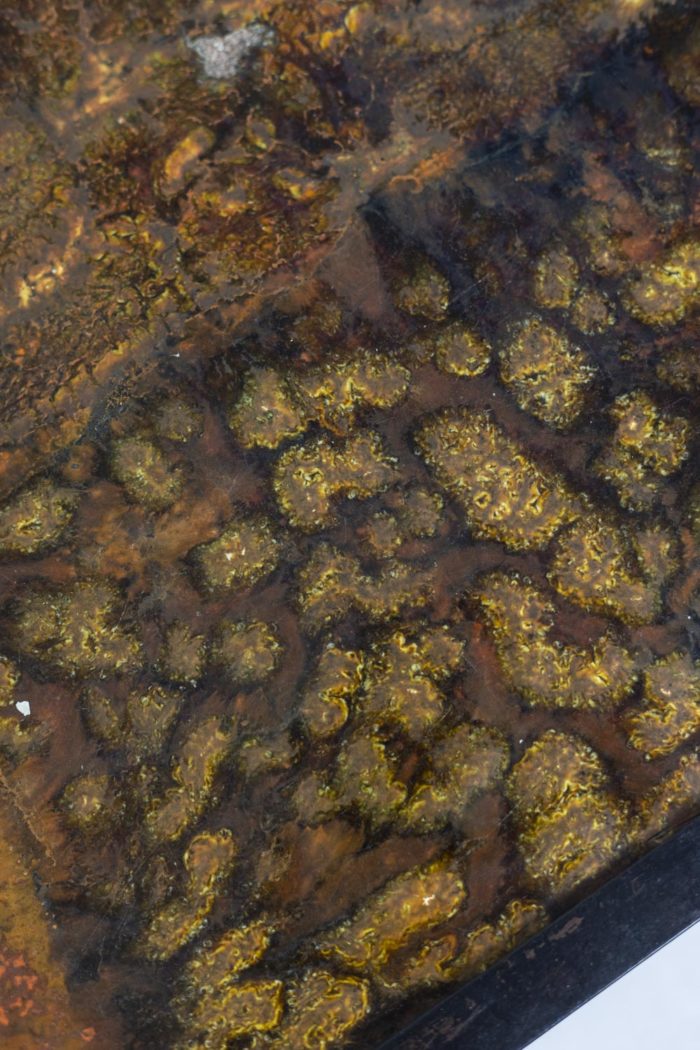 Table basse des frères Cloutier - autre détail céramique