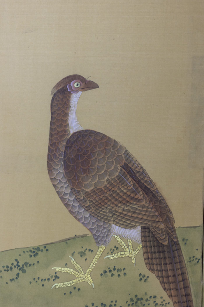Panneau peint sur soie aux motifs de pivoines et oiseaux, Japon, Années 1950 - oiseau