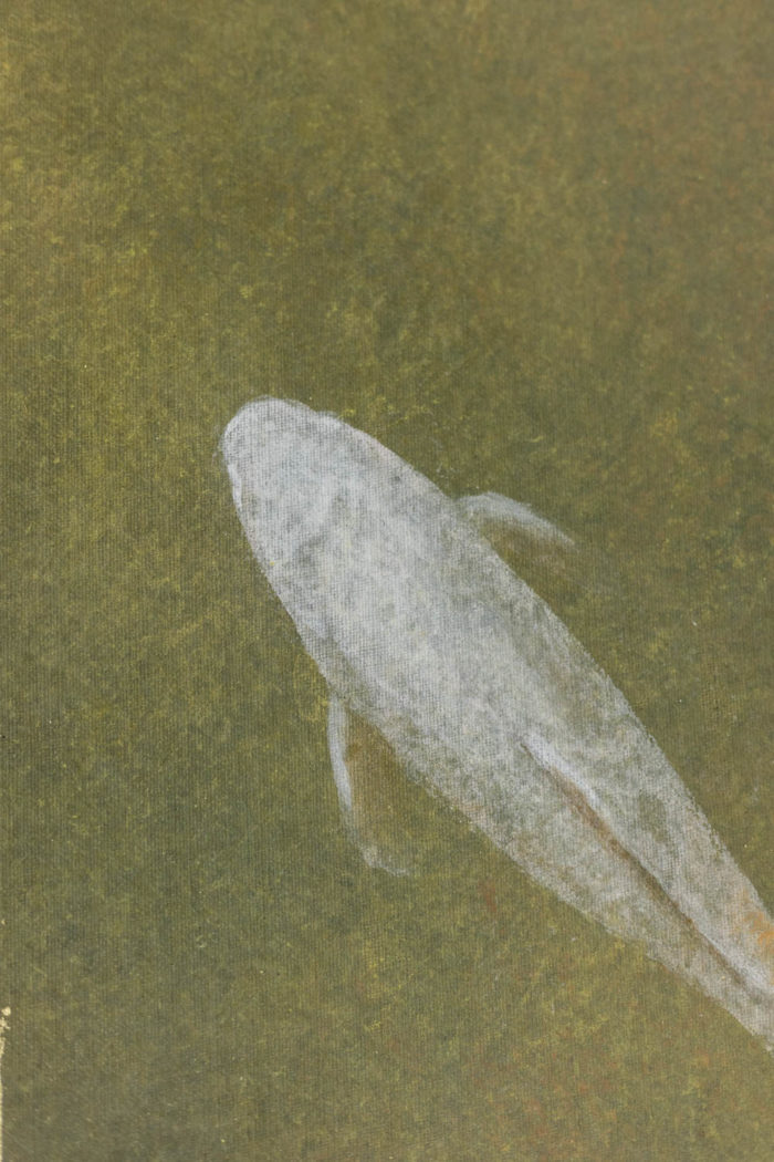 Painted canvas representing koi carp, contemporary work