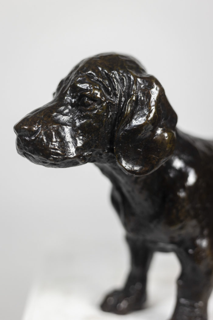 François Pompon. Bronze intitulé Chien basset TOC. Année 2006 - tête