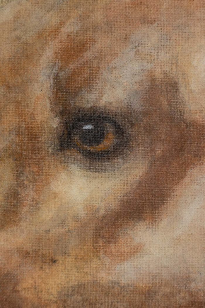 Painted canvas representing a dog. Contemporary work.